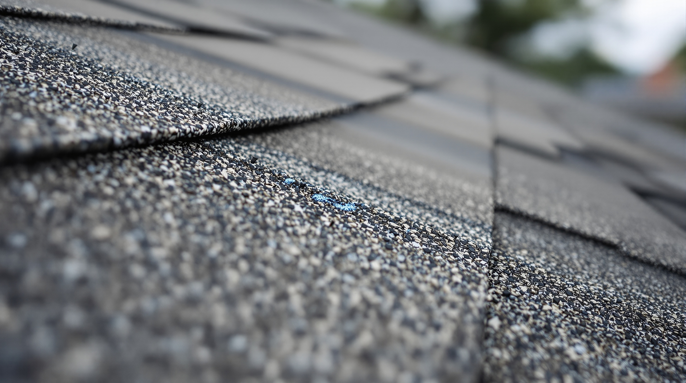 Close-up detail of newly installed dimensional architectural shingles on a Gulf Coast home showing the six-nail pattern required for ASCE 7 Wind Zone III compliance in Mobile and Baldwin County Alabama, with each shingle fastened to withstand 140 to 160 mph wind uplift forces during hurricane season, demonstrating the roofing contractor standard that separates storm-ready roof replacement from generic installation